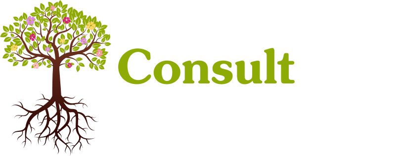 ConsultCare Solutions